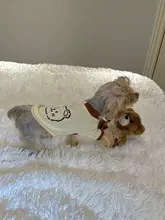 犬猫用Tシャツ【純綿・ロゴプリント・マルチーズ・ヨークシャーテリア向け】