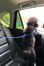 ペット用 車載安全ベルト【フレンチブルドッグ・コーギー・八哥犬・テディ用・後部座席用】