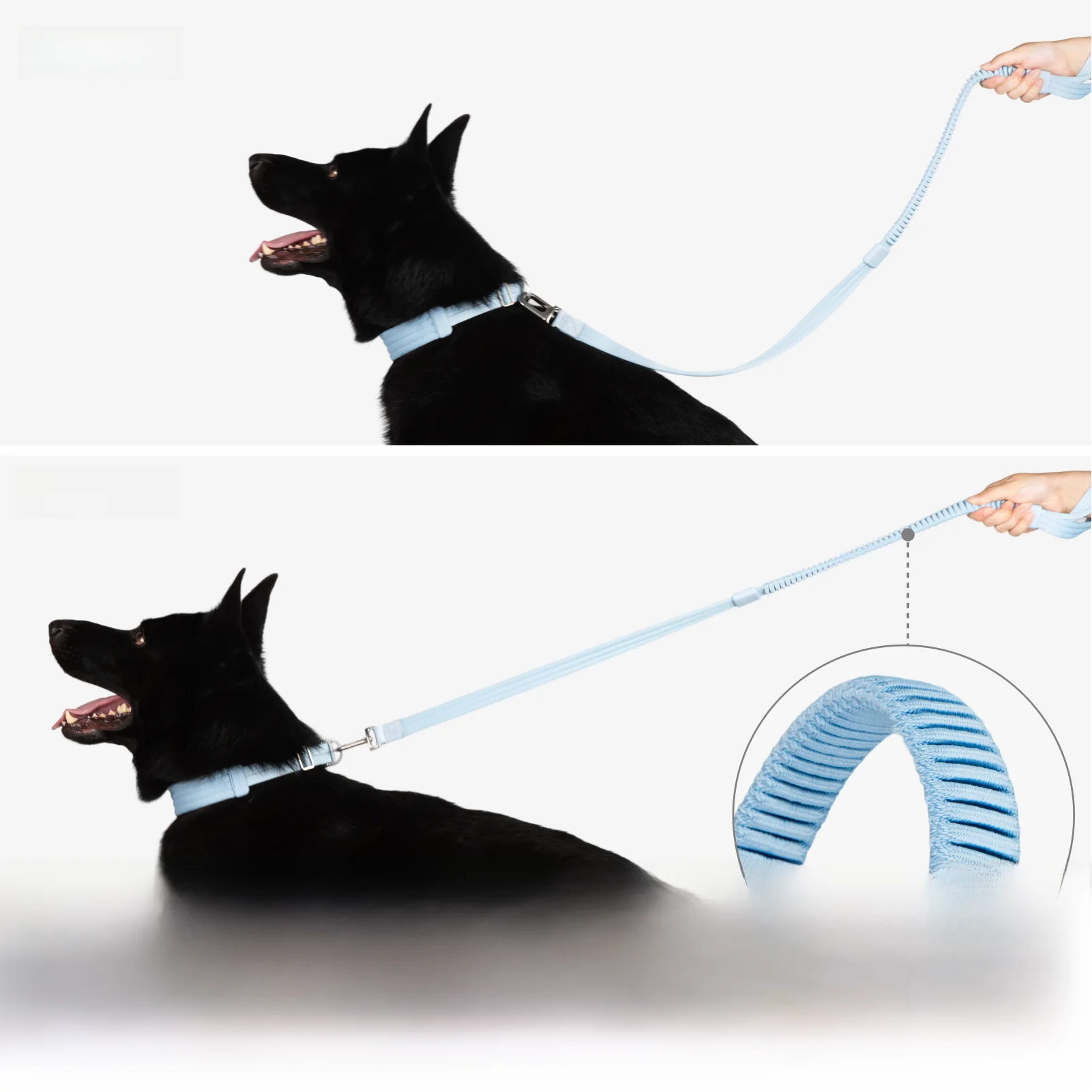 小型犬用ハーネス ブランド BuddyArmor の実用性とスペック解析