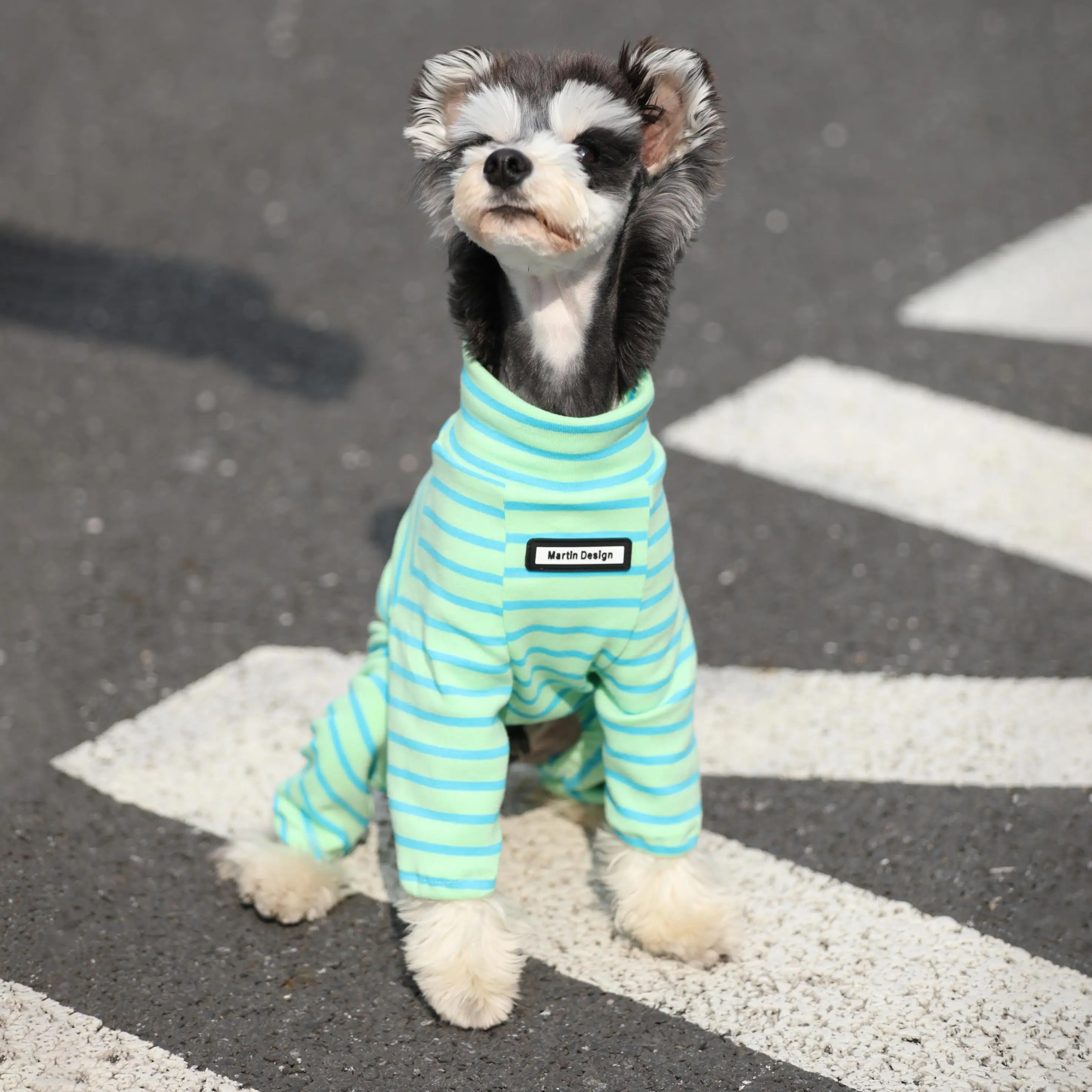 犬用秋冬棉条纹高领外套：适合小型犬的毛抜け防止实用服饰