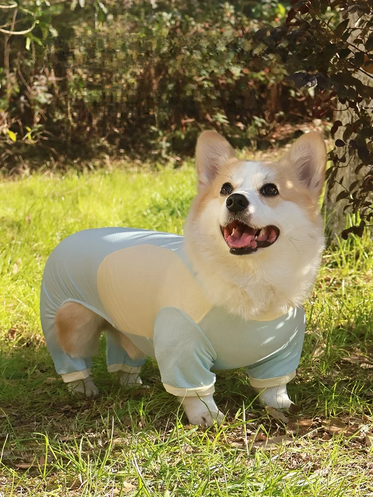 柴犬用春夏通気性ペット服：防汚・紫外線対策で快適な散歩を実現