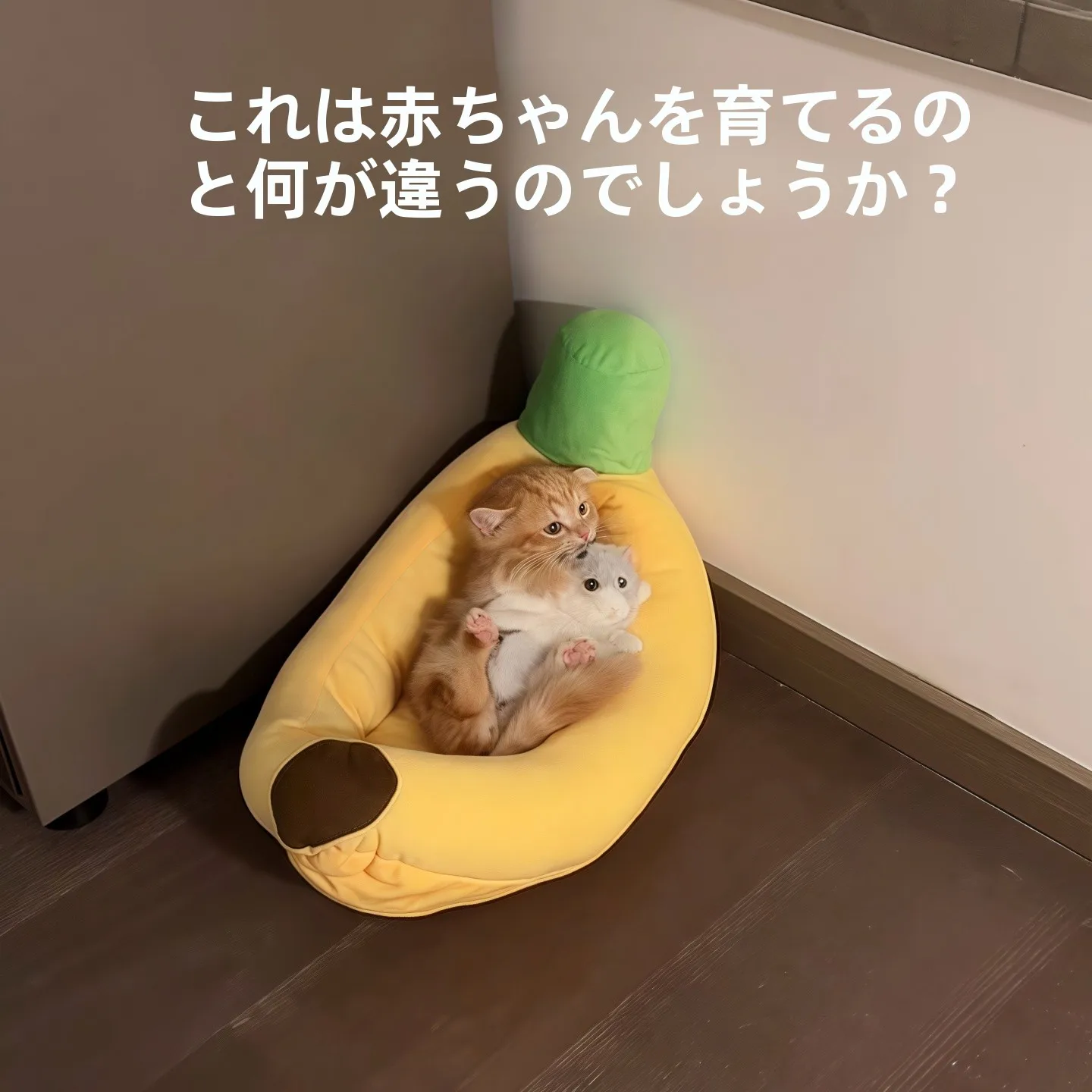 香蕉船猫窝四季通用猫咪睡觉用：秋冬至春夏的保暖睡眠解决方案