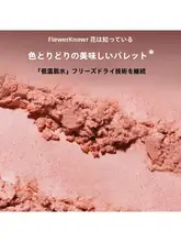 ハート型の可愛いクマデザインサテン浮彫りチークパレット【透明感アップ・ハイライター効果】