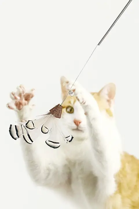 猫じゃらしおもちゃ【木製ハンドル・バネ式・交換可能な羽根と鈴付き】