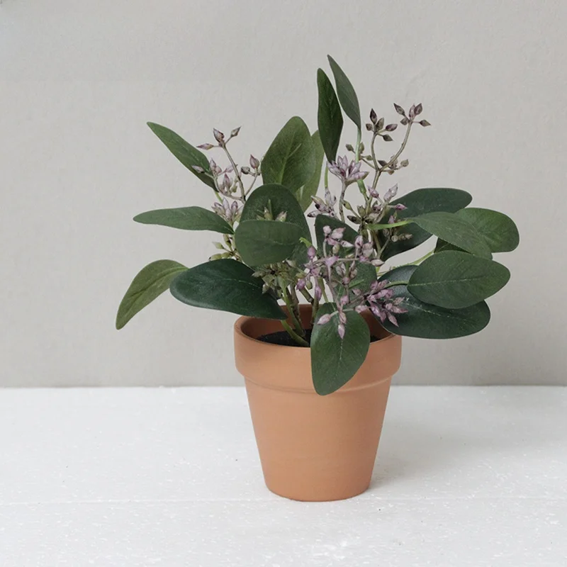 揃えるミニマリスト部屋づくりアイテム｜収納と植物のバランスガイド