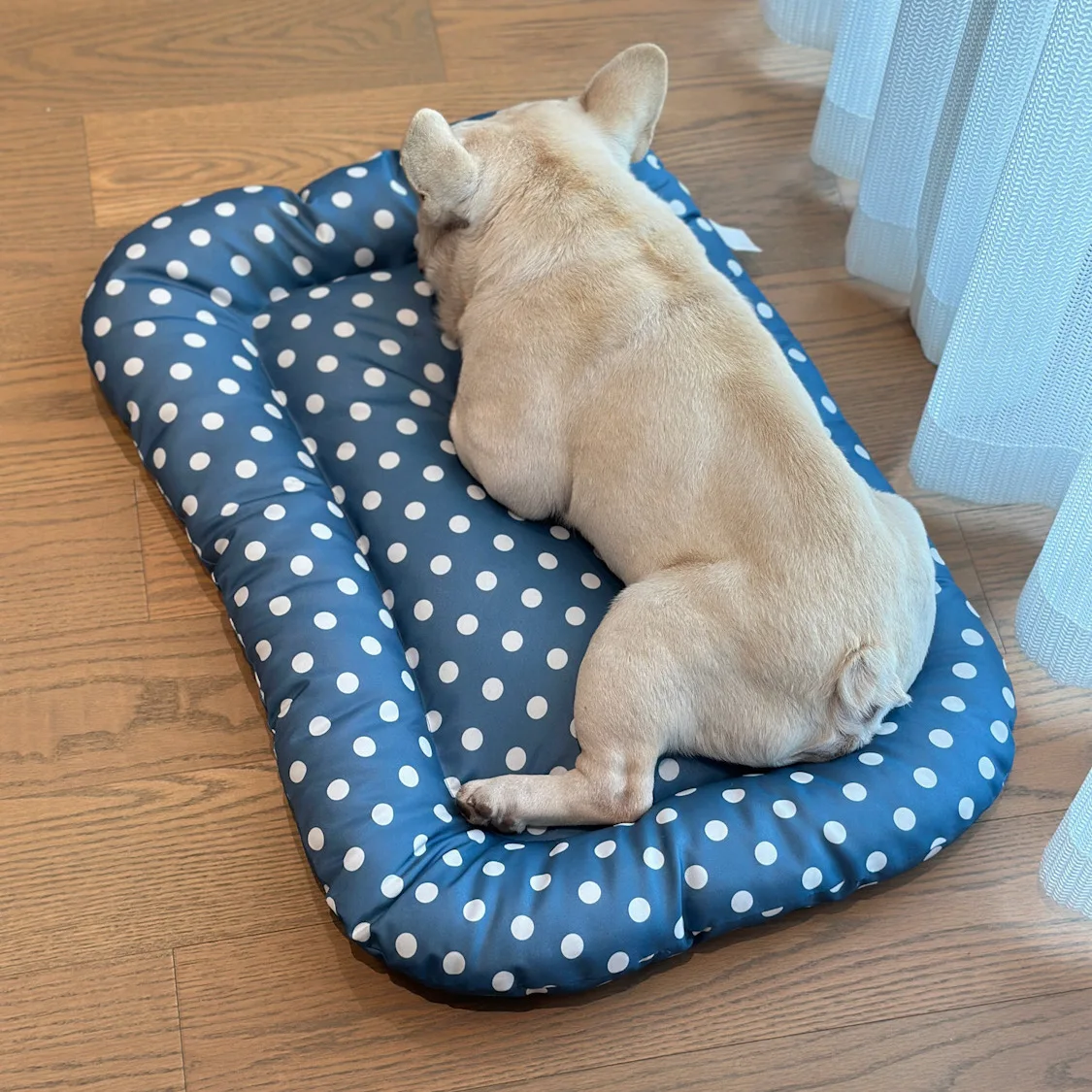 春夏用ペットベッド【汚れに強い・防湿設計・犬猫用・厚手マット】