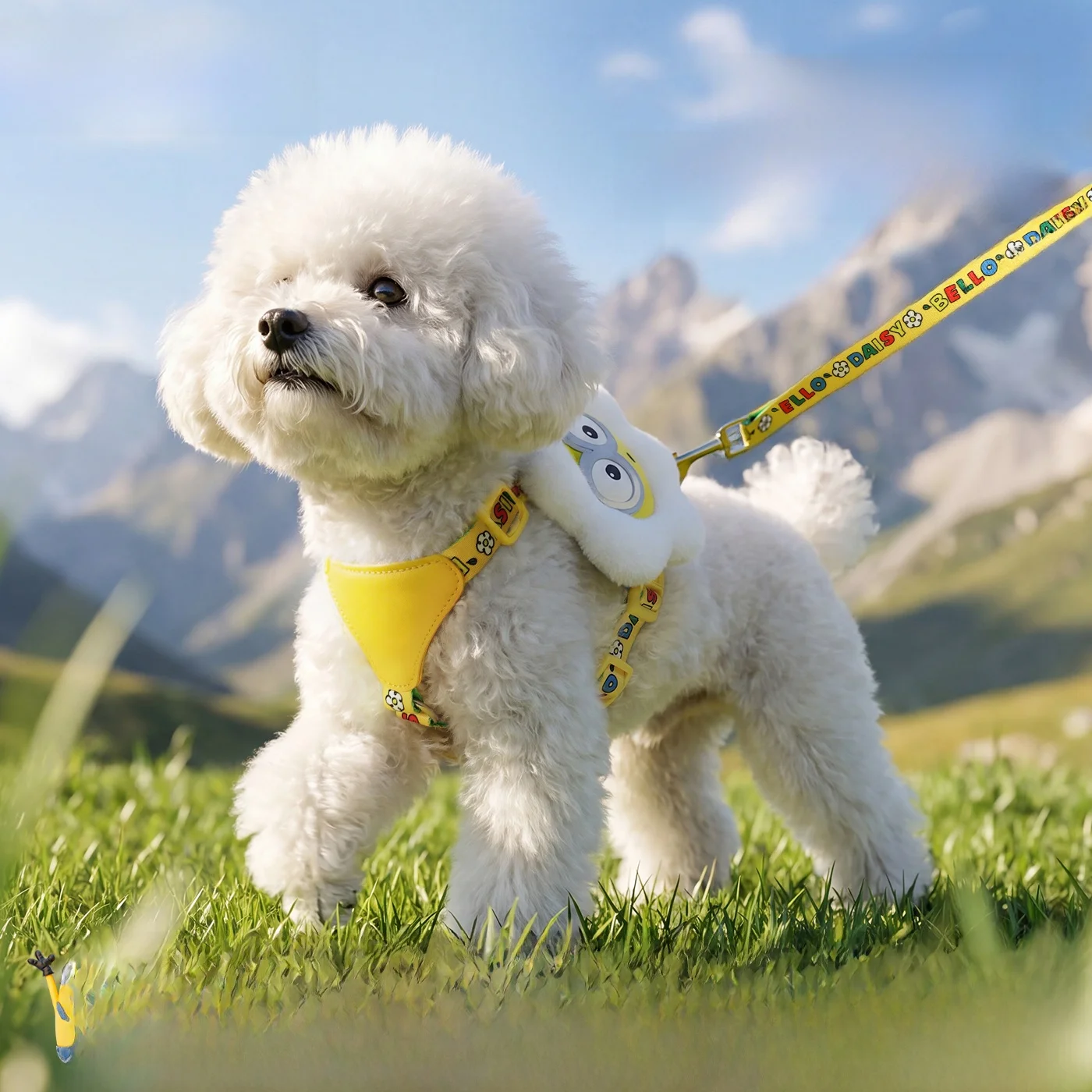 小型犬用リードハーネス：可愛いデザインのテディベア向けチェスト＆バックタイプ