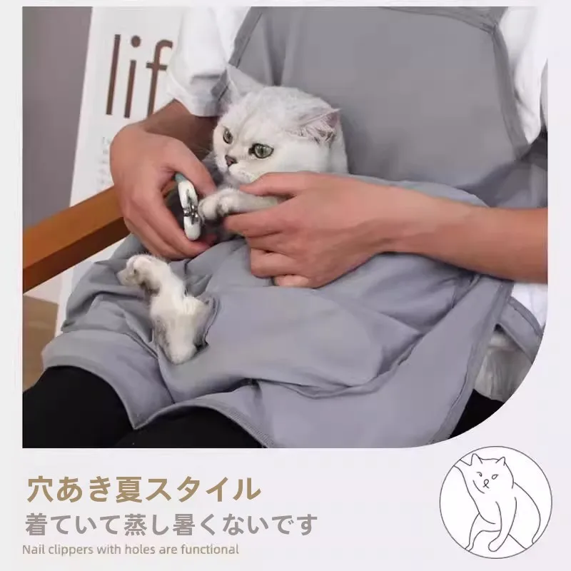 猫の服を着せたいのに、どうやって「飼いやすい」を選ぶの？