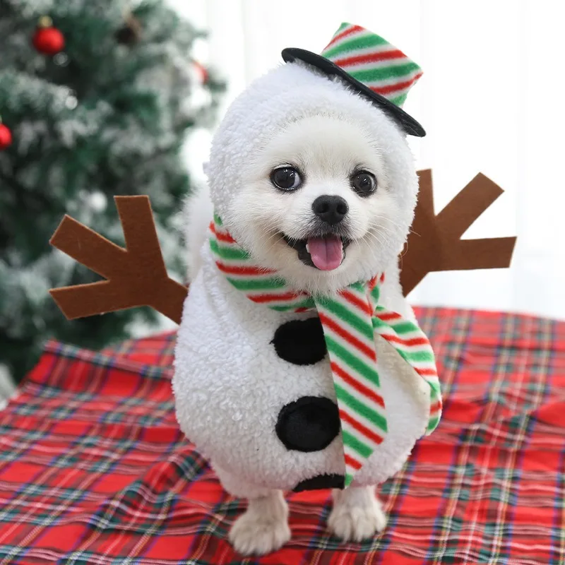 クリスマス用雪だるまデザインペット服：冬の写真撮影向けに最適なデザインとサイズ選定ガイド