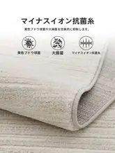 イタリアンミニマルデザイン抗菌ラグ【防水防汚・シンプルデザイン・リビングや寝室用】