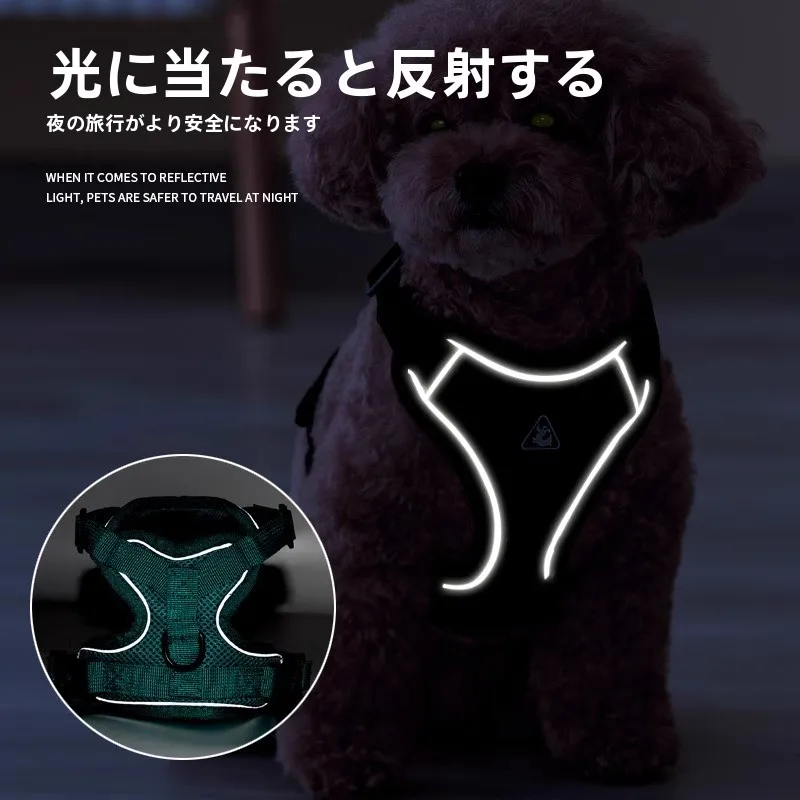犬のお散歩グッズをコスパ良く揃える方法｜ハーネス型リードの徹底解説