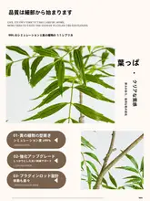 大型リアルな造花グリーン植物【インテリア用・高級感あるデザイン・リビング用】