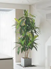 フェイクグリーン ドラゴンツリー 室内用 装飾品