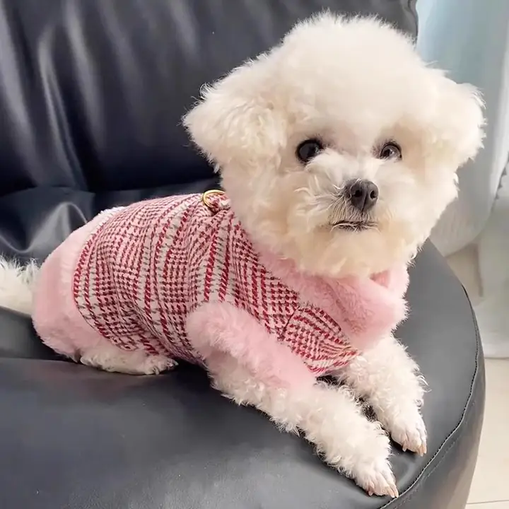 冬用 ペット用厚手コート【毛襟付き・小型犬・テディ・シュナウザー対応】