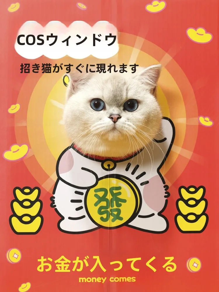 二重構造の段ボールキャットハウス：爪研ぎと遊びを兼ねた小型猫向けの実用アイテム