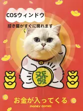 二重構造の段ボール製キャットハウス【爪研ぎ用・遊び道具】