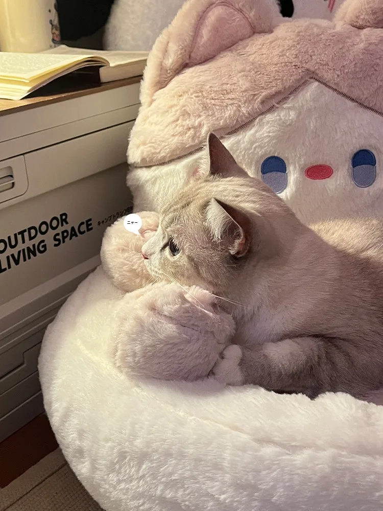 ハッピーキャットとは？冬の猫の眠りを守る、本当の「幸せのベッド」はどこにあるの？