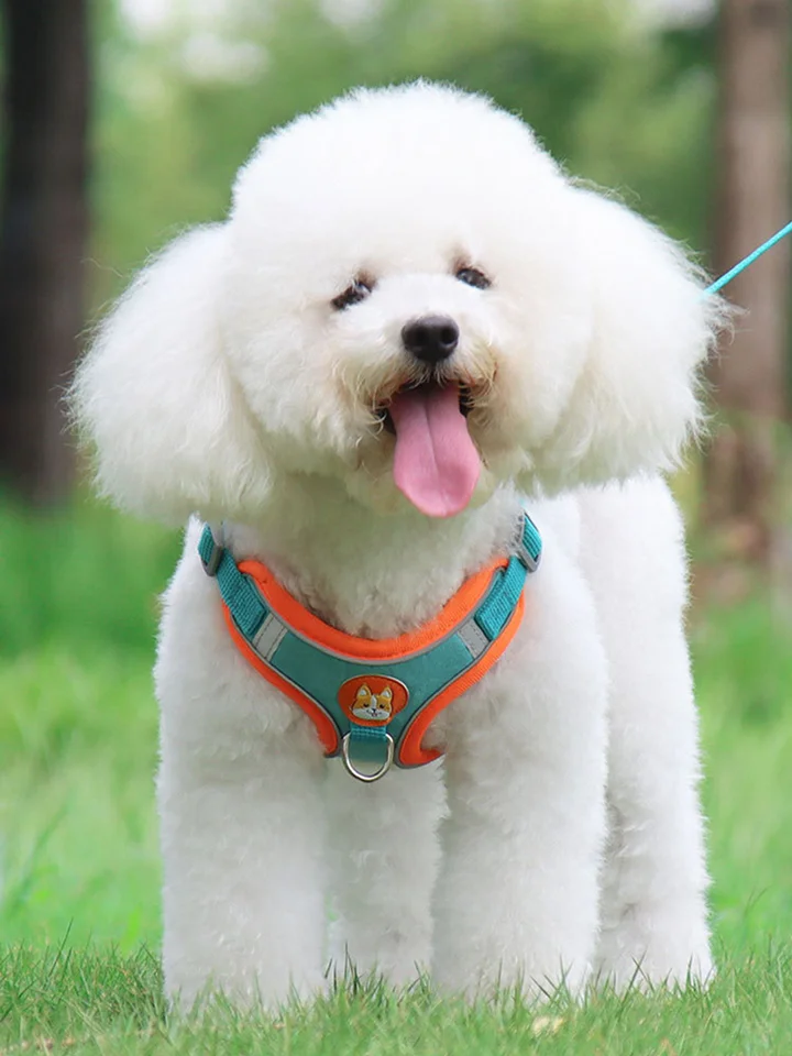 犬用反射素材ハーネスリード【小型犬用・夜間散歩対応・快適なフィット感】