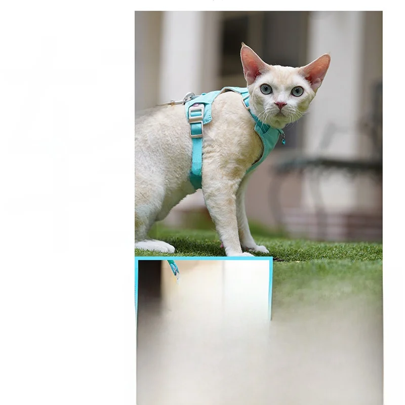猫飼いが買ってよかったもの・悪かったもの正直に言う｜外出時のハーネスリード選びの完全ガイド