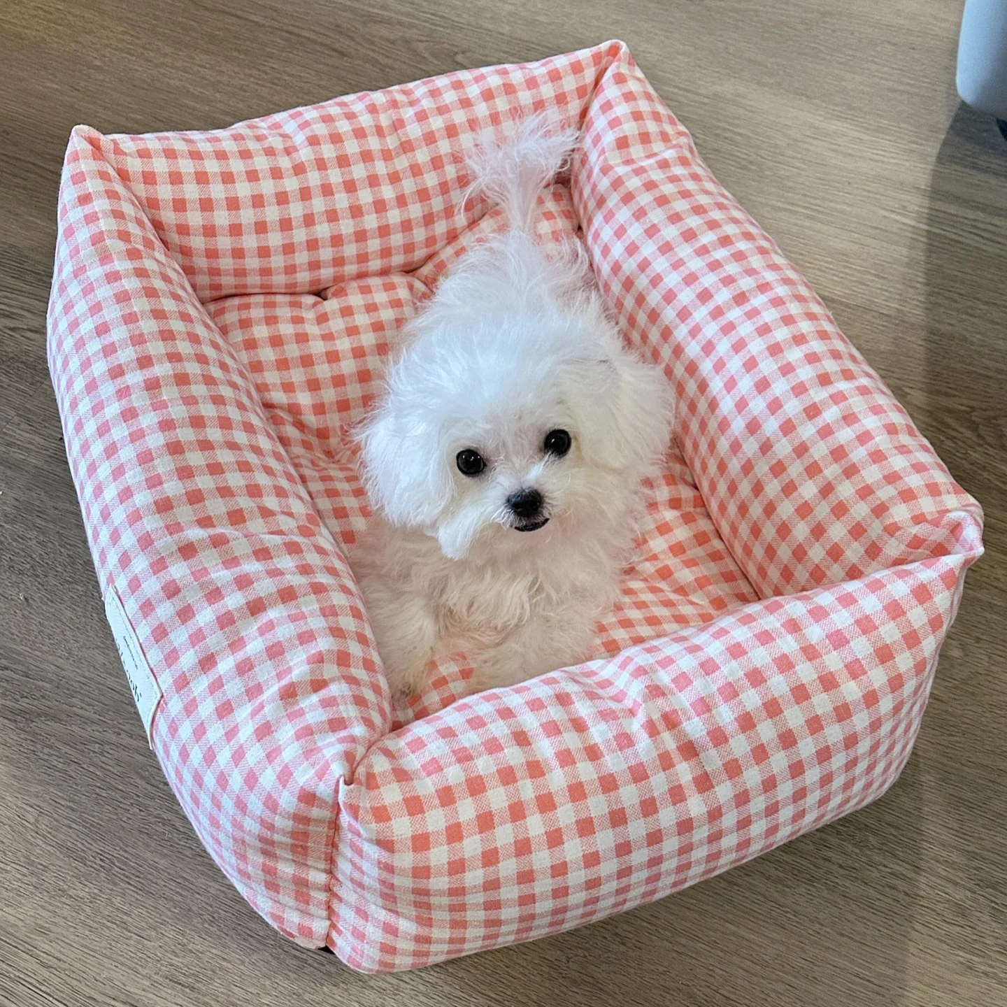 ピンクチェックのペットベッド：中小型犬向け厚手タイプの保温機能と巣パッド分離設計