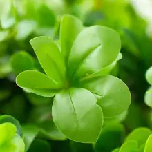造花 鉢植え 木製フェンス フレンチカントリー モネの庭風 玄関 ダイニングテーブル インテリアグリーン デコレーション