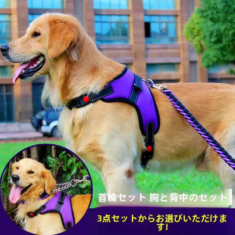 犬のお散歩グッズをコスパ良く揃える方法 - 愛犬用ハーネス型リードの定義とサイズ選定