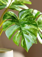 高品質なフェイクグリーン インテリア用観葉植物【デスクトップ装飾・プラスチック製・小さな鉢植え】