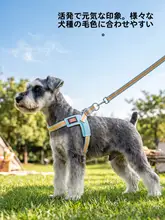 通気性のある犬用ハーネスリード【軽量・首に負担をかけない・脱出防止・ビションフリーゼ用】
