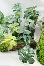 リアルなフェイクグリーン壁掛け植物【室内装飾用・グリーンリーフ・小型ポット】
