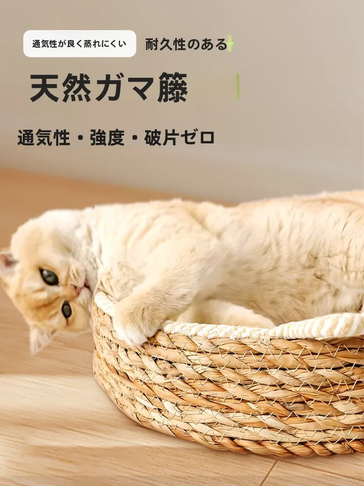 猫飼いが買ってよかったもの・悪かったもの正直に言う｜夏用バスケット型ベッドの実測ガイド
