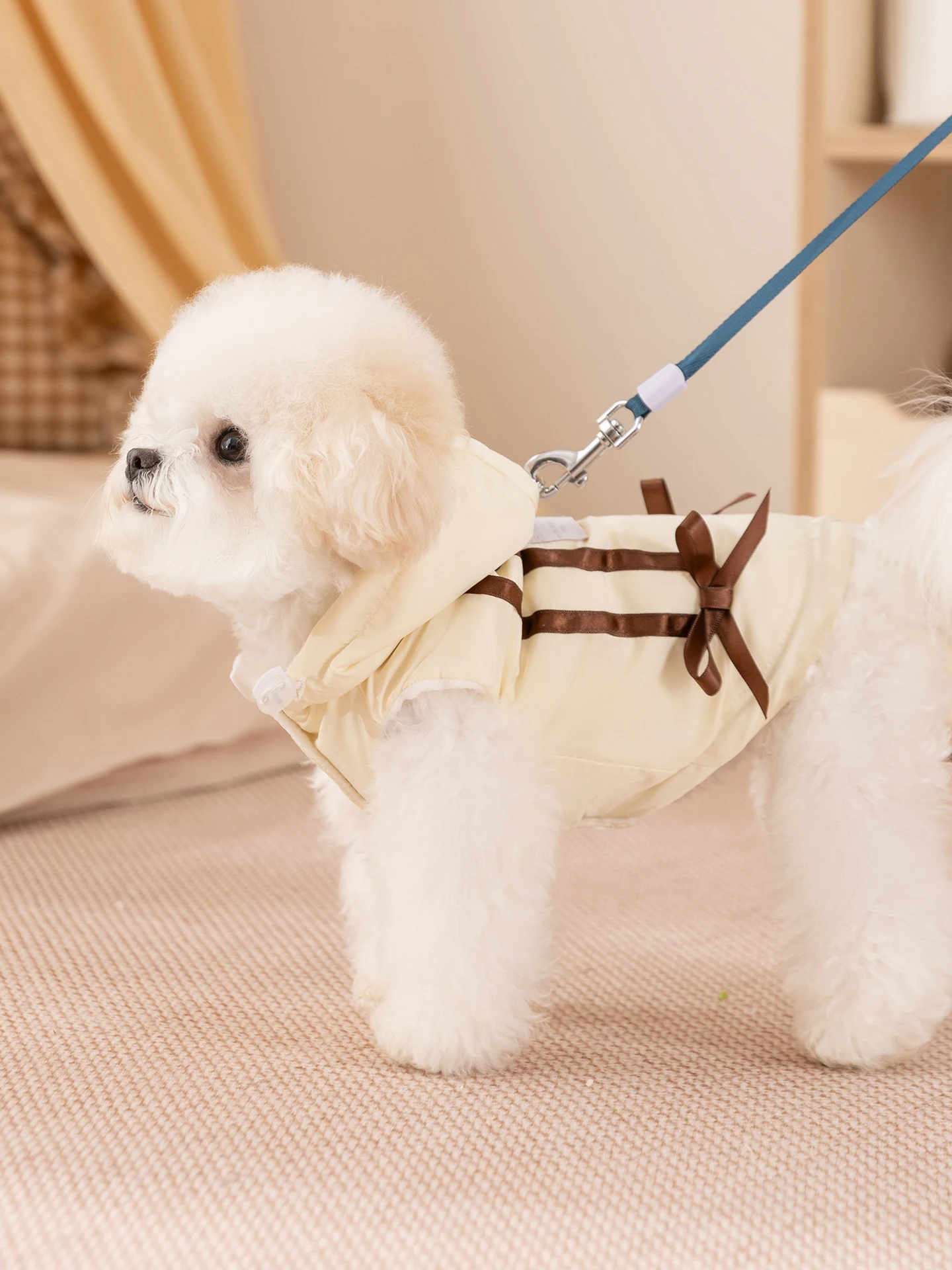hipidog 冬用ペットウェアは小型犬の防寒性能を実証する