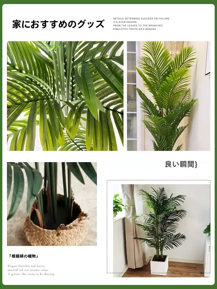 韓国インテリアを再現｜カフェ風部屋の作り方　散尾葵の選び方とレイアウトガイド
