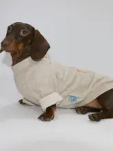 春秋用ペットウェア【薄手・ラウンドネック・犬用・小型犬対応】