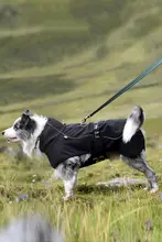 中型・大型犬用 アウトドアジャケット【反射テープ付き・防寒・レインコート・サモエド・ハスキー対応】