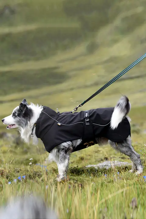 中型・大型犬用 アウトドアジャケット【反射テープ付き・防寒・レインコート・サモエド・ハスキー対応】