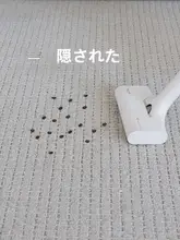 ニュージーランド産羊毛リビングルームラグ【高級感・シンプルデザイン・耐汚れ】