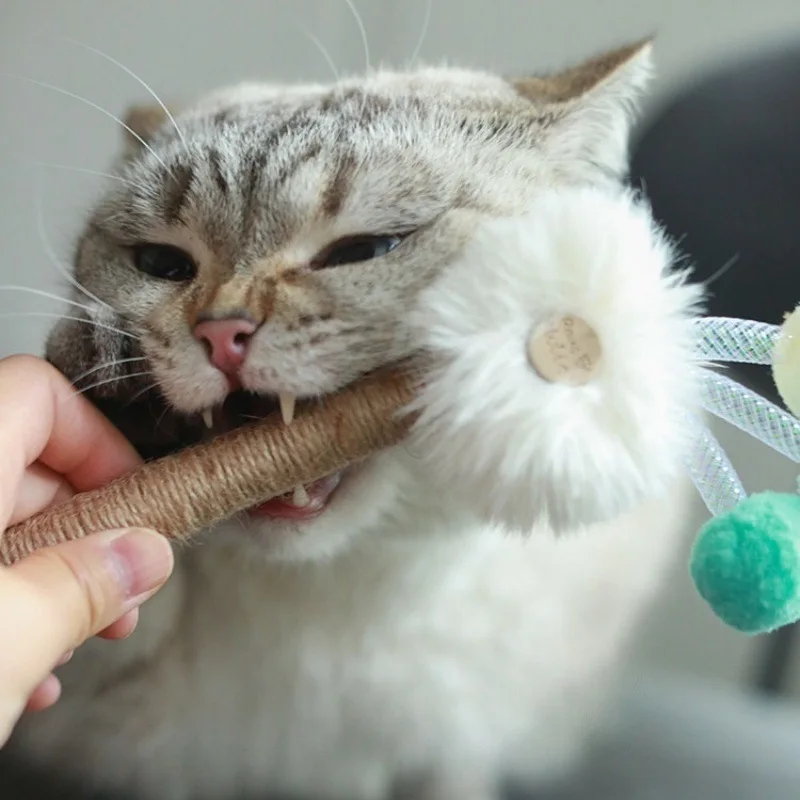 猫の遊び道具を手作りにするなら、木製の虫型おもちゃが一番？