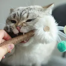猫用おもちゃ 木製の虫型おもちゃ【天然素材・歯磨  き効果・遊び用】