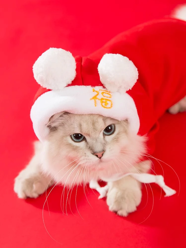 冬用フード付きヒョウ柄猫服：一人暮らし向けの保温・防毛機能を徹底解説
