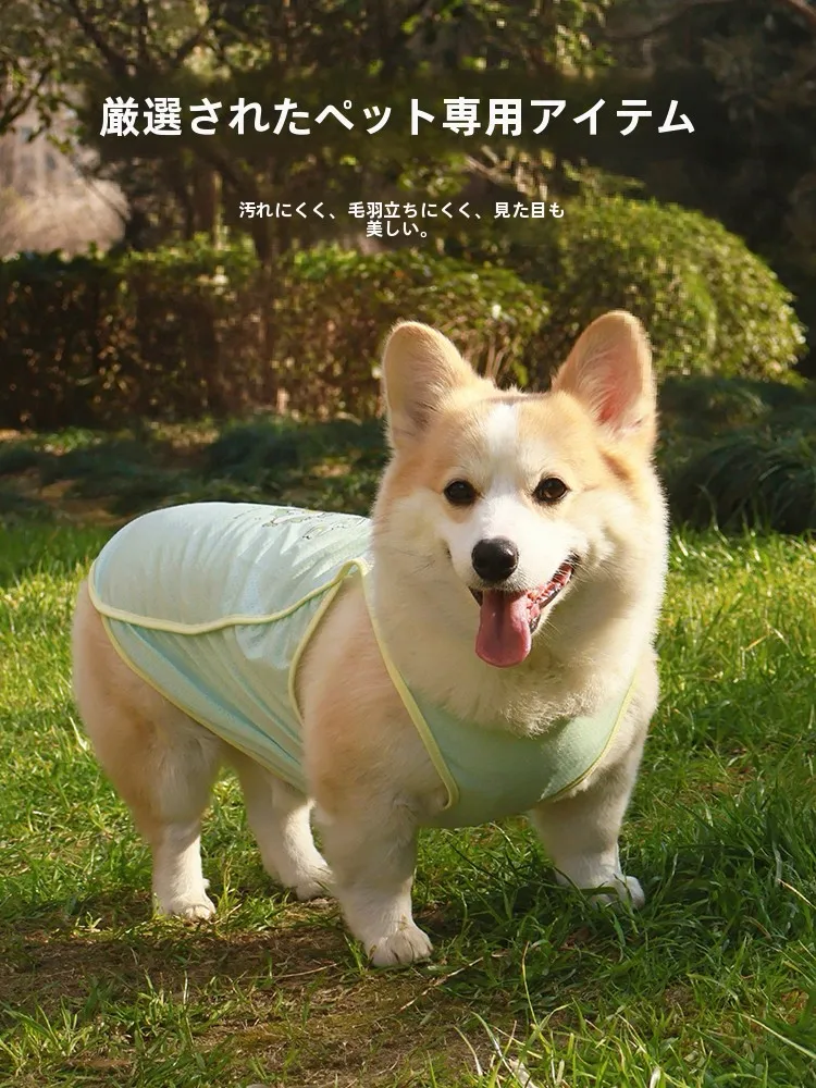 ゲッコウガ色の犬用涼感ベスト：防虫・防汚設計と実際の使用シーン