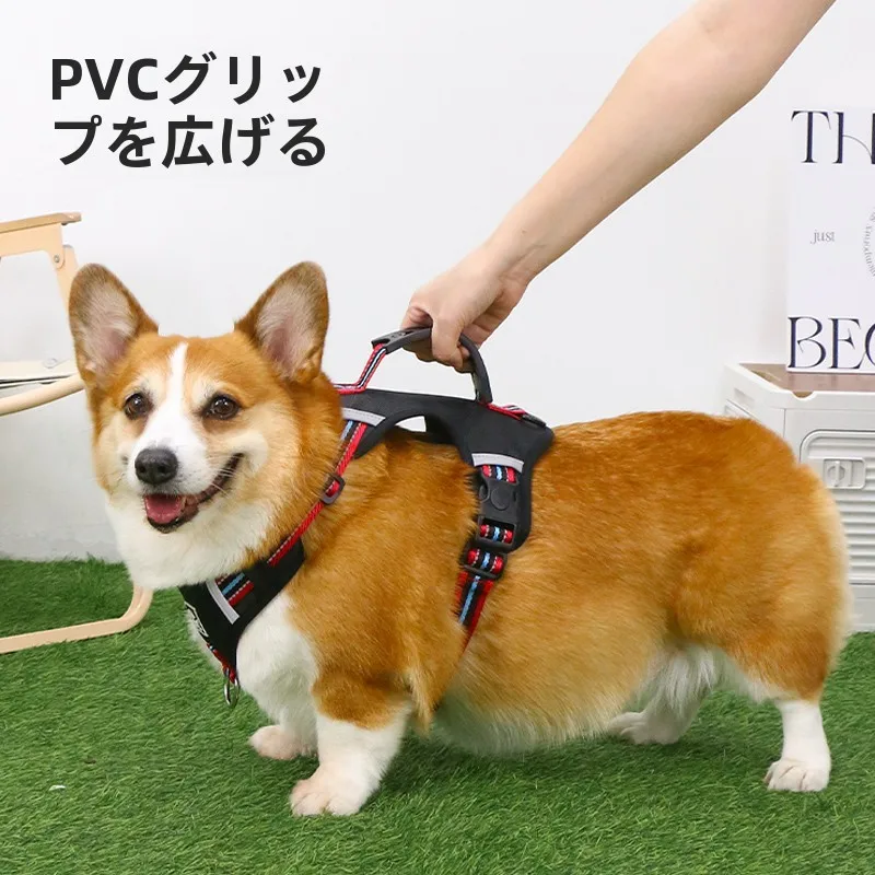 犬のお散歩グッズをコスパ良く揃える方法　完全ガイド