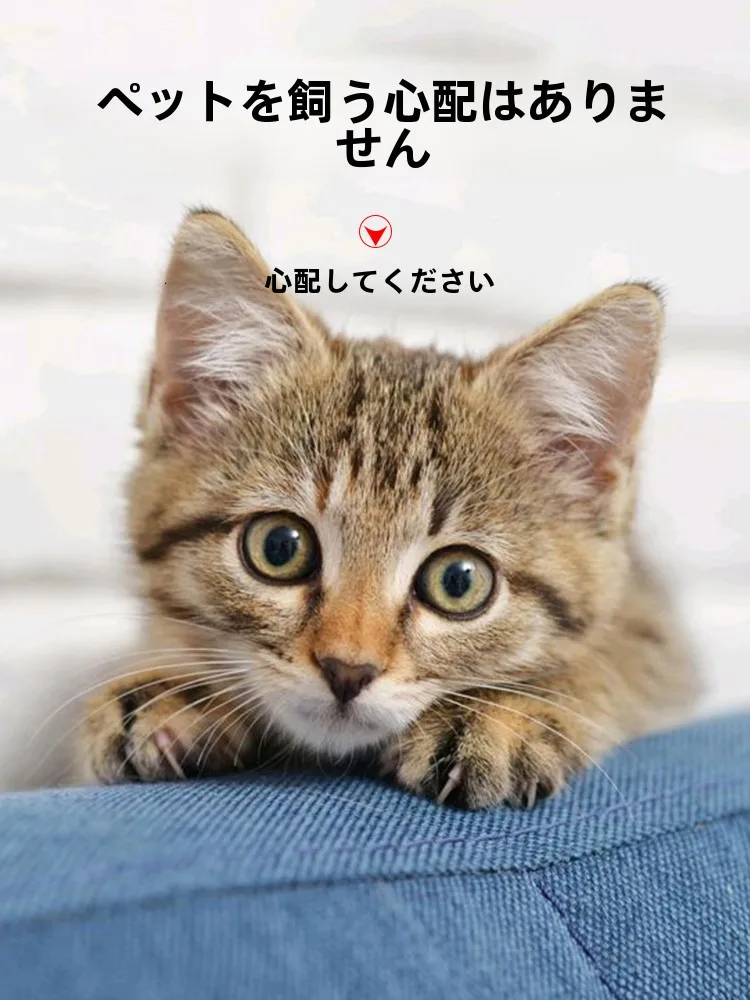 ペット用毛取り器：静電気防止設計で長毛猫の毛を効率的に除去