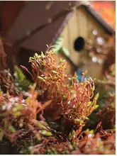 リアルなブラウン植物の芽【屋外装飾・水草水槽用・苔と胞子の模倣】