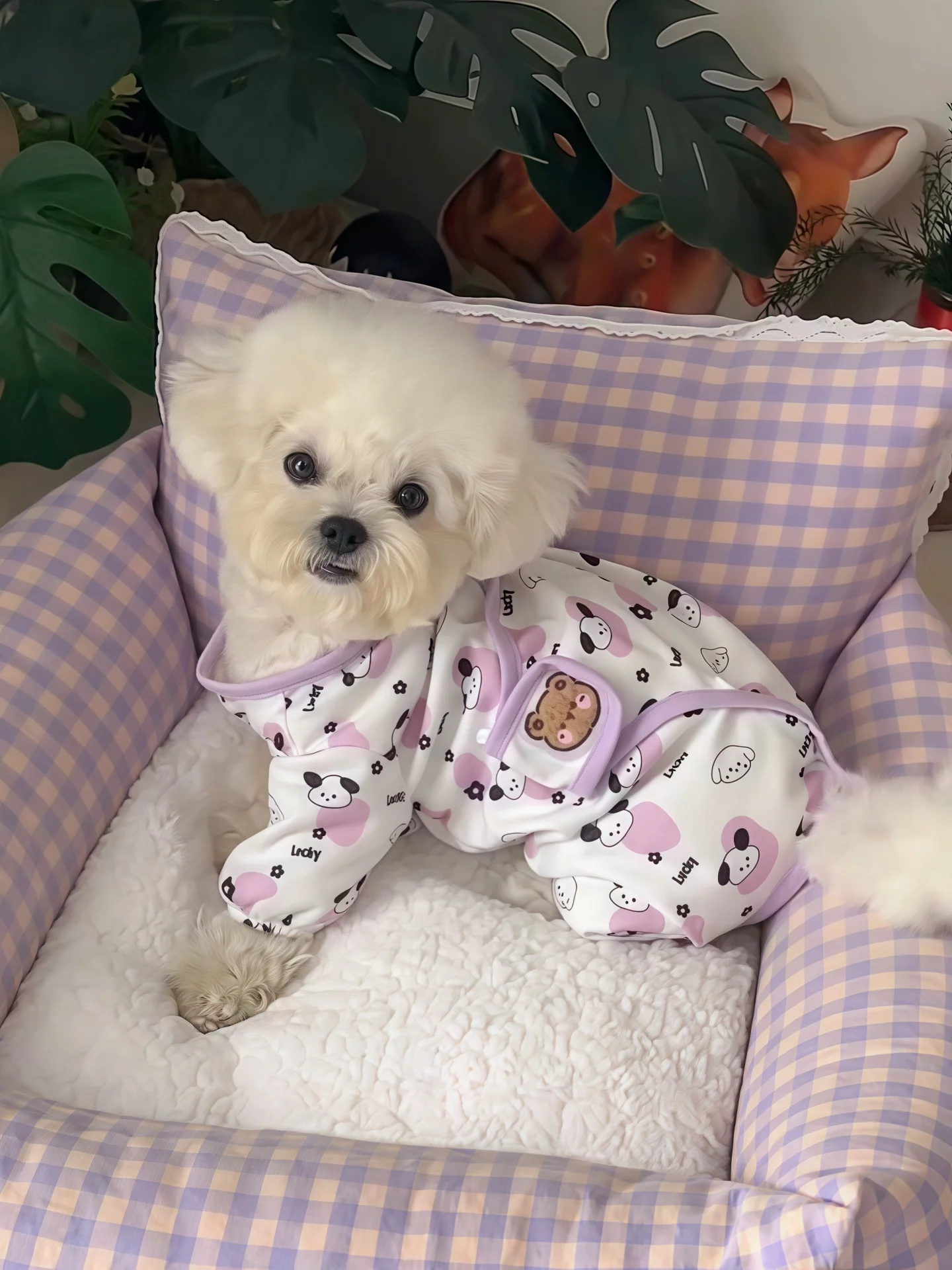 ミニワン用全身服：秋冬期の小型犬向け保温性と可愛さを実証