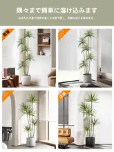 高級感あるフェイクグリーンプランツ 千年木【リビング装飾用・造花・龙血树・インドア用】