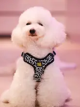 ペット用ハーネス リード付き【抗爆・ジャケットタイプ・小型犬・大型犬対応・ コーギー・柴犬・ビションフリーゼ用】