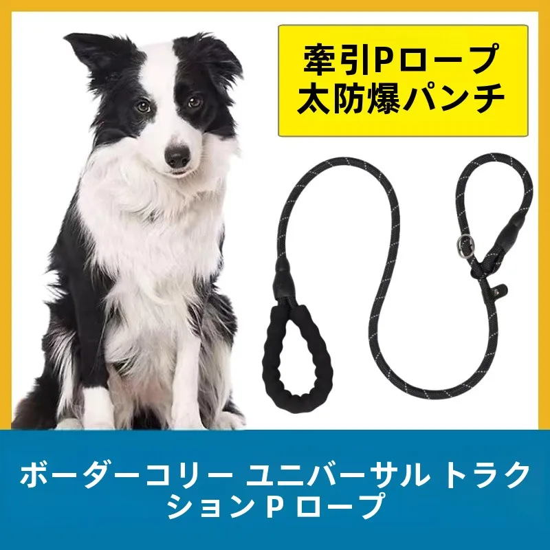 犬のお散歩グッズをコスパ良く揃える方法　完全ガイド