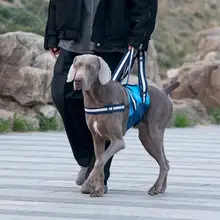 ペット用補助安全帯【調節可能・介助犬用・リハビリ牽引ベルト】