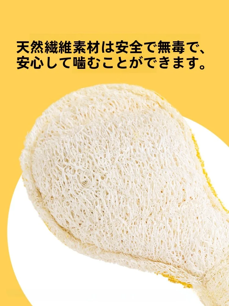 猫ケージに遊びをさせるおもちゃとは？実は「歯磨き・解消・猫じゃらし」が最強の選択肢
