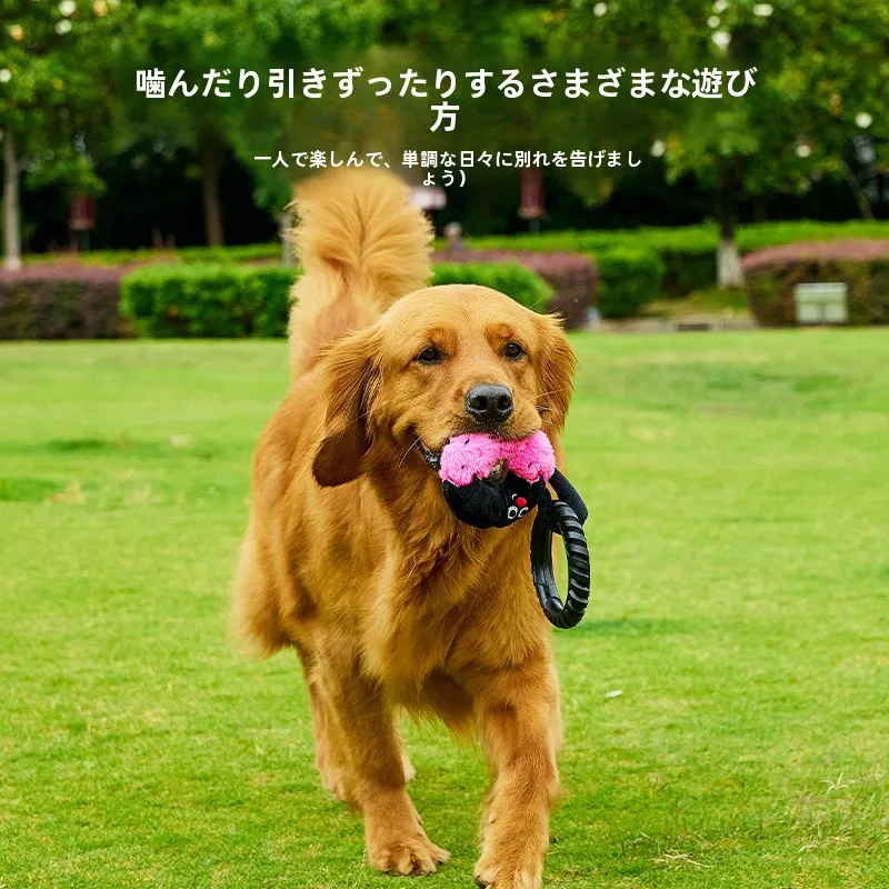 インタラクティブなラリーおもちゃ：9ヶ月児向けの遊びやすい動き回るタイプ